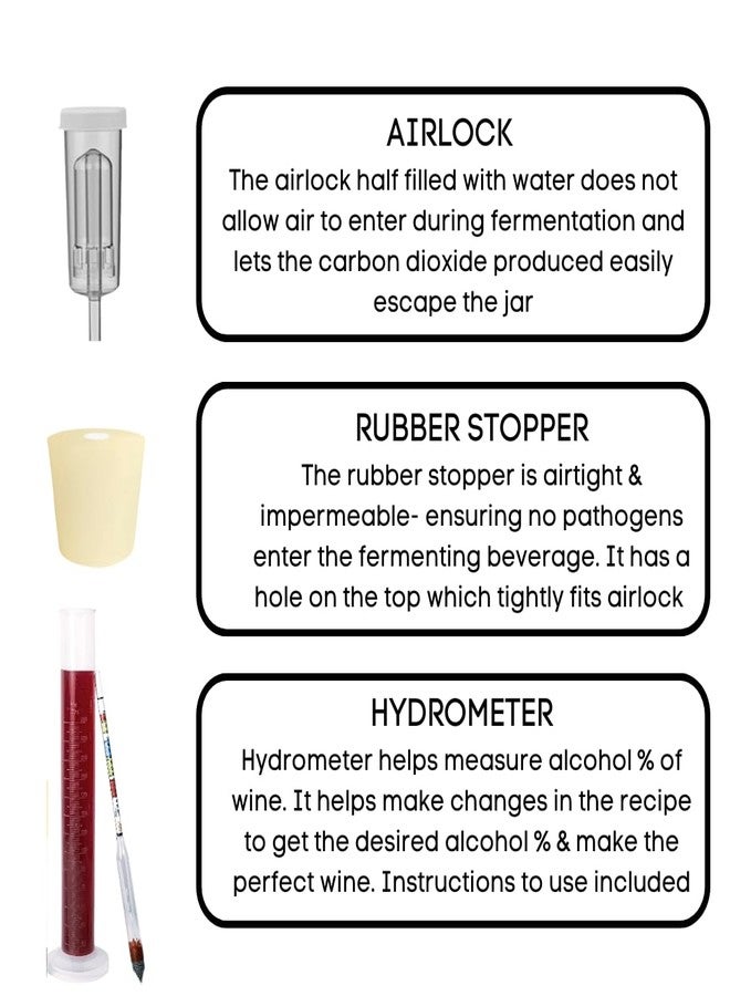 BREWBasket قارورة تخمير سعة 4 لترات من BREWBasket مع لوازم صنع النبيذ، ومقياس كثافة السوائل، ودليل الوصفات (طقم + مقياس كثافة السوائل) - Image 3